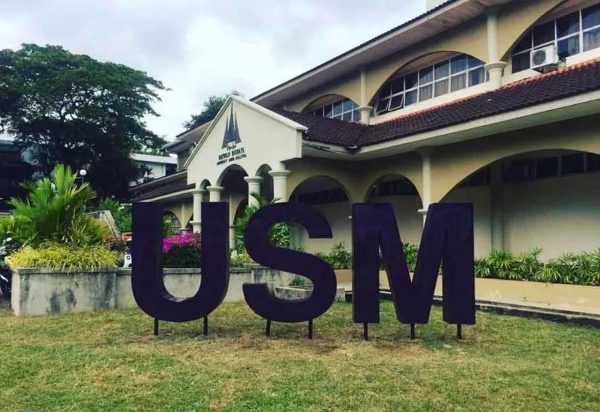 马来西亚理科大学留学申请中的常见陷阱与智慧应对指南